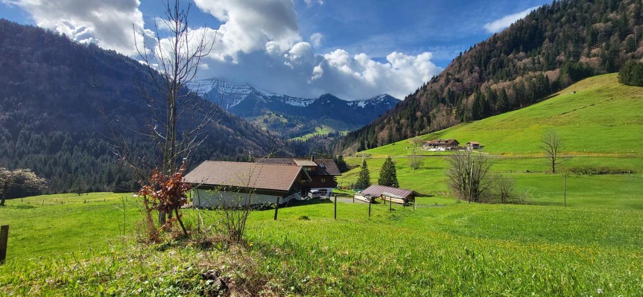 Fewo Allgaeuliebe Mit Wlan Oberstaufen Steibis Kültér fotó